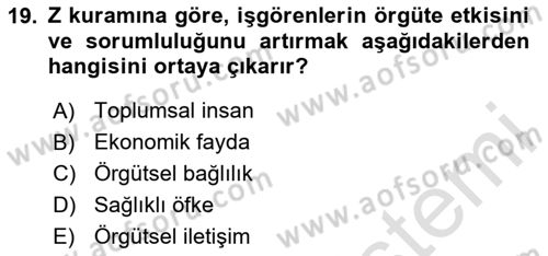 Çatışma ve Stres Yönetimi 1 Dersi 2024 - 2025 Yılı (Final) Dönem Sonu Sınav Soruları 19. Soru