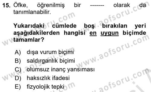 Çatışma ve Stres Yönetimi 1 Dersi 2024 - 2025 Yılı Yaz Okulu Sınav Soruları 15. Soru