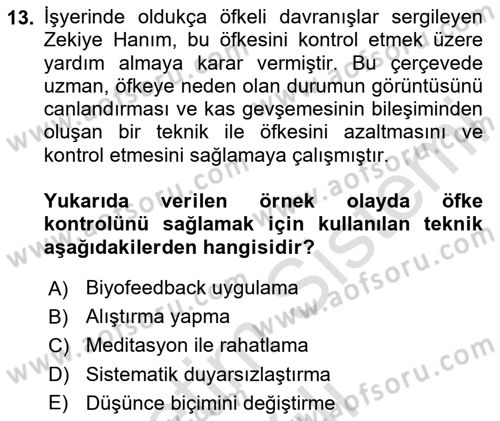 Çatışma ve Stres Yönetimi 1 Dersi 2025 - 2026 Yılı Yaz Okulu Sınav Soruları 13. Soru