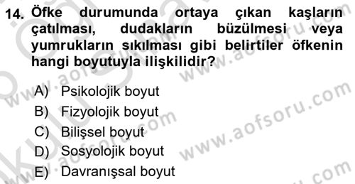 Çatışma ve Stres Yönetimi 1 Dersi 2025 - 2026 Yılı Yaz Okulu Sınav Soruları 14. Soru