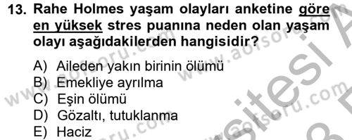 Çatışma ve Stres Yönetimi 2 Dersi 2012 - 2013 Yılı (Vize) Ara Sınav Soruları 13. Soru