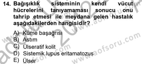 Çatışma ve Stres Yönetimi 2 Dersi 2012 - 2013 Yılı (Vize) Ara Sınav Soruları 14. Soru