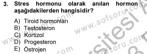 Çatışma ve Stres Yönetimi 2 Dersi 2012 - 2013 Yılı (Vize) Ara Sınav Soruları 3. Soru