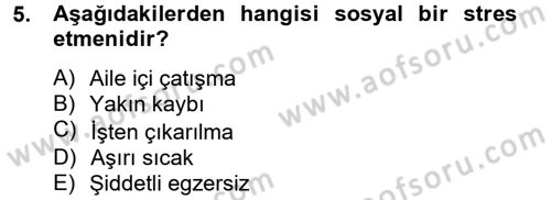Çatışma ve Stres Yönetimi 2 Dersi 2012 - 2013 Yılı (Vize) Ara Sınav Soruları 5. Soru