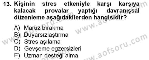 Çatışma ve Stres Yönetimi 2 Dersi 2012 - 2013 Yılı (Final) Dönem Sonu Sınav Soruları 13. Soru