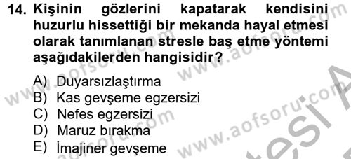 Çatışma ve Stres Yönetimi 2 Dersi 2012 - 2013 Yılı (Final) Dönem Sonu Sınav Soruları 14. Soru