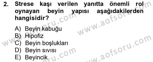 Çatışma ve Stres Yönetimi 2 Dersi 2012 - 2013 Yılı (Final) Dönem Sonu Sınav Soruları 2. Soru