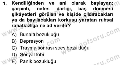 Çatışma ve Stres Yönetimi 2 Dersi 2013 - 2014 Yılı (Vize) Ara Sınav Soruları 1. Soru
