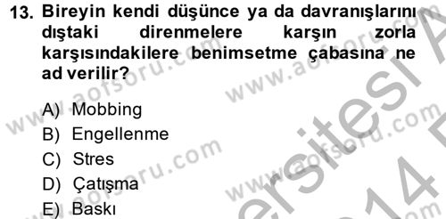 Çatışma ve Stres Yönetimi 2 Dersi 2013 - 2014 Yılı (Vize) Ara Sınav Soruları 13. Soru