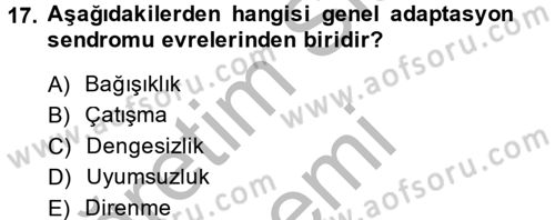 Çatışma ve Stres Yönetimi 2 Dersi 2013 - 2014 Yılı (Vize) Ara Sınav Soruları 17. Soru