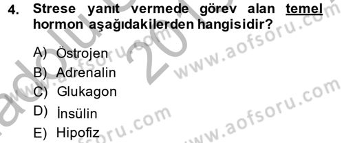Çatışma ve Stres Yönetimi 2 Dersi 2013 - 2014 Yılı (Vize) Ara Sınav Soruları 4. Soru