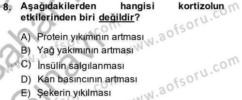 Çatışma ve Stres Yönetimi 2 Dersi 2013 - 2014 Yılı (Vize) Ara Sınav Soruları 8. Soru