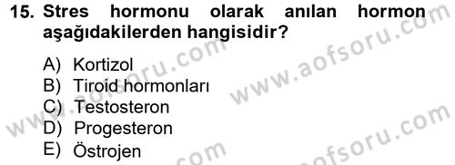 Çatışma ve Stres Yönetimi 2 Dersi 2013 - 2014 Yılı Tek Ders Sınav Soruları 15. Soru