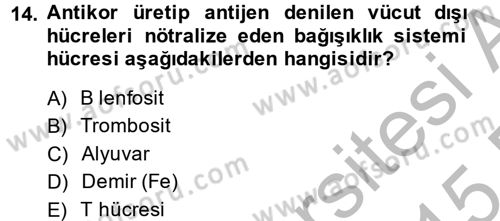 Çatışma ve Stres Yönetimi 2 Dersi 2014 - 2015 Yılı (Vize) Ara Sınav Soruları 14. Soru