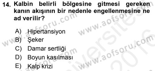 Çatışma ve Stres Yönetimi 2 Dersi 2015 - 2016 Yılı (Vize) Ara Sınav Soruları 14. Soru