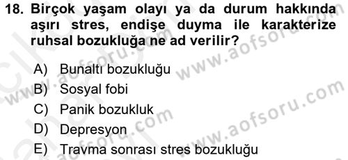 Çatışma ve Stres Yönetimi 2 Dersi 2015 - 2016 Yılı (Vize) Ara Sınav Soruları 18. Soru