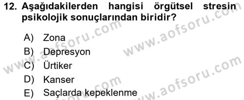 Çatışma ve Stres Yönetimi 2 Dersi 2015 - 2016 Yılı (Final) Dönem Sonu Sınav Soruları 12. Soru