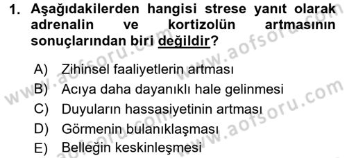 Çatışma ve Stres Yönetimi 2 Dersi 2016 - 2017 Yılı (Vize) Ara Sınav Soruları 1. Soru