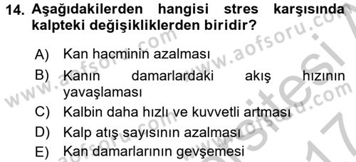 Çatışma ve Stres Yönetimi 2 Dersi 2016 - 2017 Yılı (Vize) Ara Sınav Soruları 14. Soru