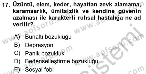 Çatışma ve Stres Yönetimi 2 Dersi 2016 - 2017 Yılı (Vize) Ara Sınav Soruları 17. Soru