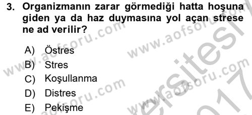 Çatışma ve Stres Yönetimi 2 Dersi 2016 - 2017 Yılı (Vize) Ara Sınav Soruları 3. Soru