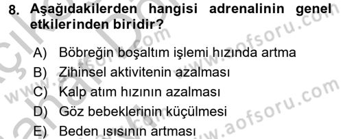 Çatışma ve Stres Yönetimi 2 Dersi 2016 - 2017 Yılı (Vize) Ara Sınav Soruları 8. Soru
