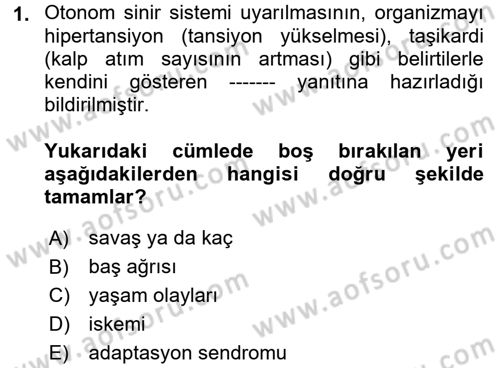 Çatışma ve Stres Yönetimi 2 Dersi 2017 - 2018 Yılı (Final) Dönem Sonu Sınav Soruları 1. Soru