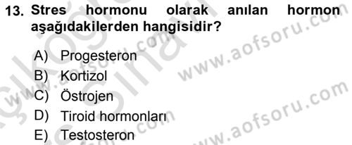 Çatışma ve Stres Yönetimi 2 Dersi 2018 - 2019 Yılı 3 Ders Sınav Soruları 13. Soru