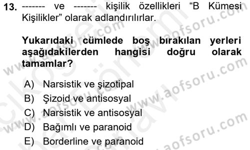 Çatışma ve Stres Yönetimi 2 Dersi 2018 - 2019 Yılı (Final) Dönem Sonu Sınav Soruları 13. Soru