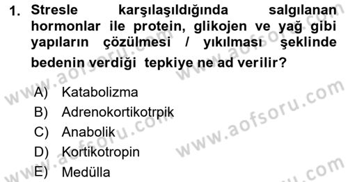Çatışma ve Stres Yönetimi 2 Dersi 2021 - 2022 Yılı (Vize) Ara Sınav Soruları 1. Soru