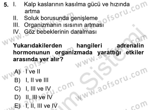 Çatışma ve Stres Yönetimi 2 Dersi 2021 - 2022 Yılı (Vize) Ara Sınav Soruları 5. Soru