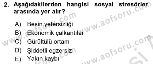 Çatışma ve Stres Yönetimi 2 Dersi 2021 - 2022 Yılı Yaz Okulu Sınav Soruları 2. Soru