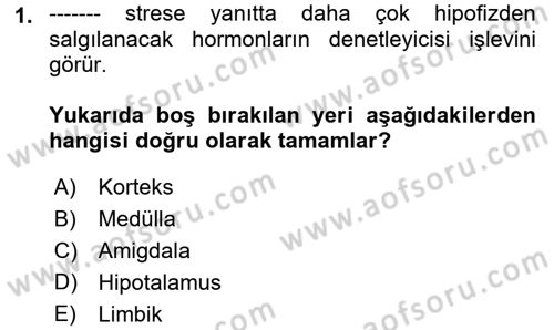 Çatışma ve Stres Yönetimi 2 Dersi 2022 - 2023 Yılı Yaz Okulu Sınav Soruları 1. Soru