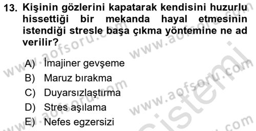 Çatışma ve Stres Yönetimi 2 Dersi 2022 - 2023 Yılı Yaz Okulu Sınav Soruları 13. Soru