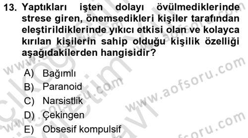 Çatışma ve Stres Yönetimi 2 Dersi 2023 - 2024 Yılı Yaz Okulu Sınav Soruları 13. Soru