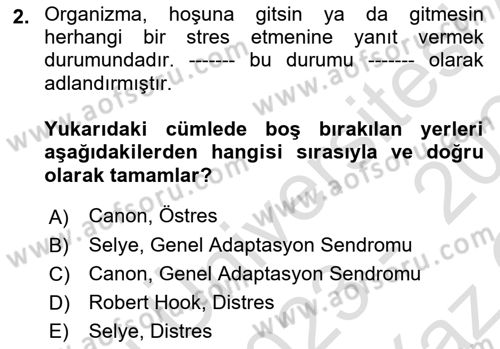 Çatışma ve Stres Yönetimi 2 Dersi 2023 - 2024 Yılı Yaz Okulu Sınav Soruları 2. Soru