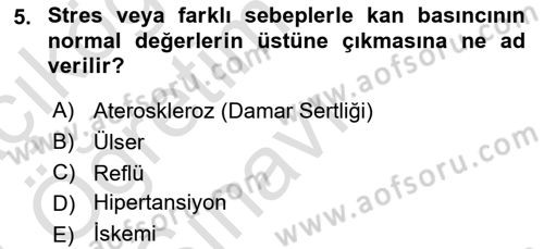 Çatışma ve Stres Yönetimi 2 Dersi 2023 - 2024 Yılı Yaz Okulu Sınav Soruları 5. Soru