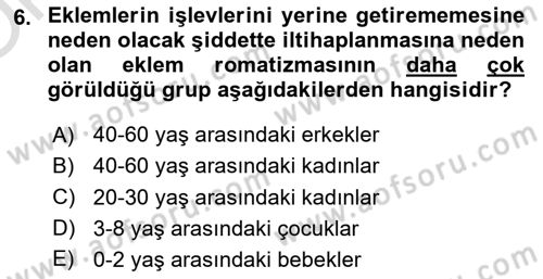 Çatışma ve Stres Yönetimi 2 Dersi 2023 - 2024 Yılı Yaz Okulu Sınav Soruları 6. Soru