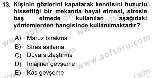 Çatışma ve Stres Yönetimi 2 Dersi 2024 - 2025 Yılı (Final) Dönem Sonu Sınav Soruları 13. Soru