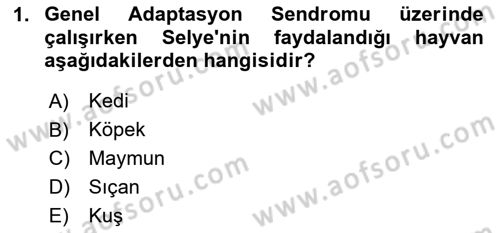 Çatışma ve Stres Yönetimi 2 Dersi 2024 - 2025 Yılı Yaz Okulu Sınav Soruları 1. Soru