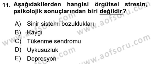 Çatışma ve Stres Yönetimi 2 Dersi 2024 - 2025 Yılı Yaz Okulu Sınav Soruları 11. Soru