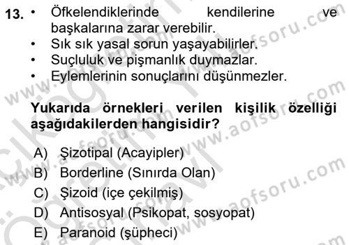 Çatışma ve Stres Yönetimi 2 Dersi 2024 - 2025 Yılı Yaz Okulu Sınav Soruları 13. Soru