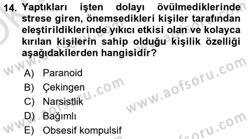 Çatışma ve Stres Yönetimi 2 Dersi 2024 - 2025 Yılı Yaz Okulu Sınav Soruları 14. Soru