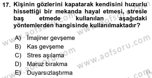 Çatışma ve Stres Yönetimi 2 Dersi 2024 - 2025 Yılı Yaz Okulu Sınav Soruları 17. Soru