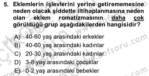 Çatışma ve Stres Yönetimi 2 Dersi 2024 - 2025 Yılı Yaz Okulu Sınav Soruları 5. Soru