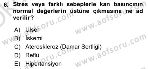 Çatışma ve Stres Yönetimi 2 Dersi 2024 - 2025 Yılı Yaz Okulu Sınav Soruları 6. Soru