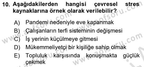 Çatışma ve Stres Yönetimi 2 Dersi 2025 - 2026 Yılı (Vize) Ara Sınav Soruları 10. Soru
