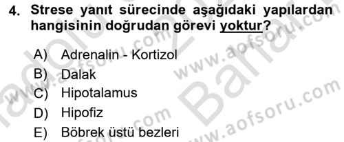 Çatışma ve Stres Yönetimi 2 Dersi 2025 - 2026 Yılı (Vize) Ara Sınav Soruları 4. Soru