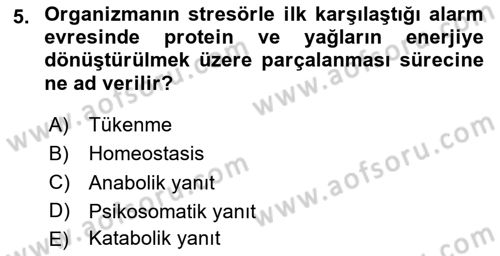 Çatışma ve Stres Yönetimi 2 Dersi 2025 - 2026 Yılı (Vize) Ara Sınav Soruları 5. Soru