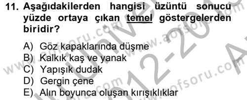 İş ve Yaşamda Motivasyon Dersi 2012 - 2013 Yılı (Vize) Ara Sınav Soruları 11. Soru